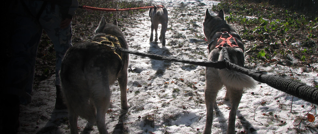 INFO FOTO AL 22 PP 0 kopia